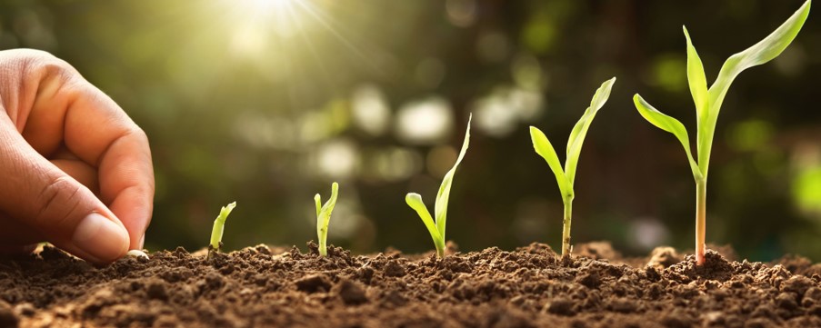 Image for 7 Ways to Grow Your Customer Base