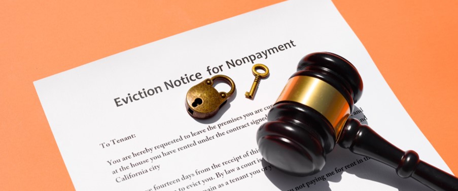 Image for Serving Evictions